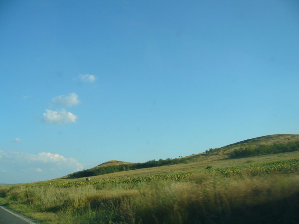 Dinogetia deltaplan site N (from Garvan road)