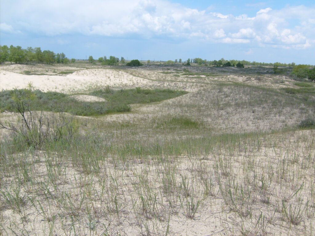 Dune de nisip cu iarbă rară lângă satul Caraorman